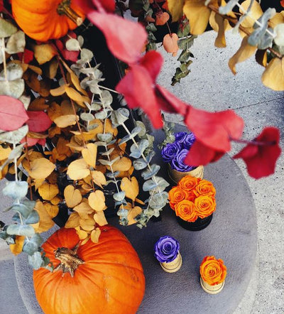 Step Up Your Halloween Decor with Elegant Roses