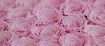 Rose Box NYC - Rose Color Guide for the Moms in Your Life