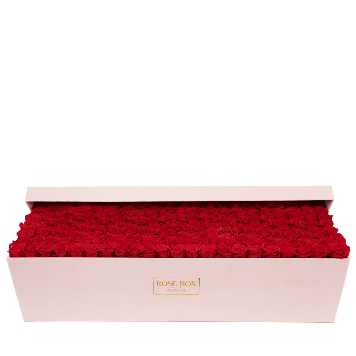Jumbo Velvet Light Pink Box with Red Flame Roses