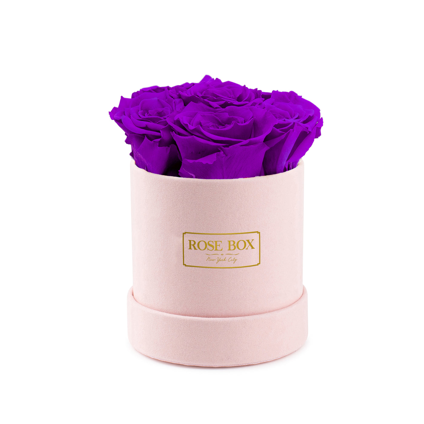 Mini Pink Box with Royal Purple Roses