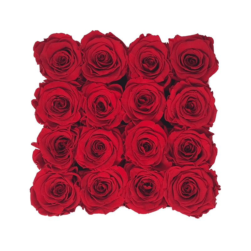 Medium Square Pink Box with Red Flame Roses