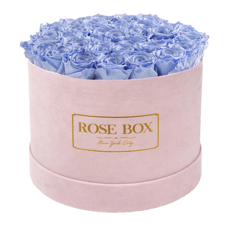 Large Round Pink Box with Light Blue Roses