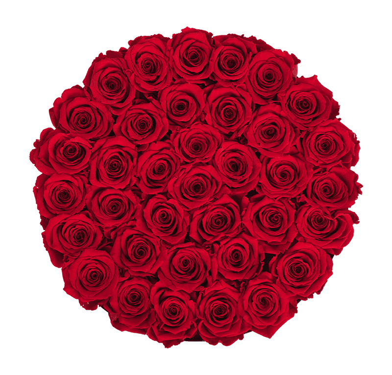 Large Round White Box with Red Flame Roses
