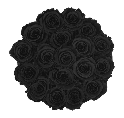 Medium Black Box with Velvet Black Roses