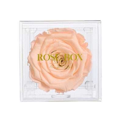 Single Sorbet Peach Rose Jewelry Box