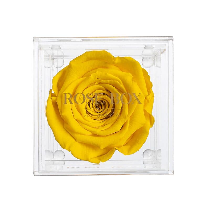 Single Bright Yellow Rose Jewelry Box