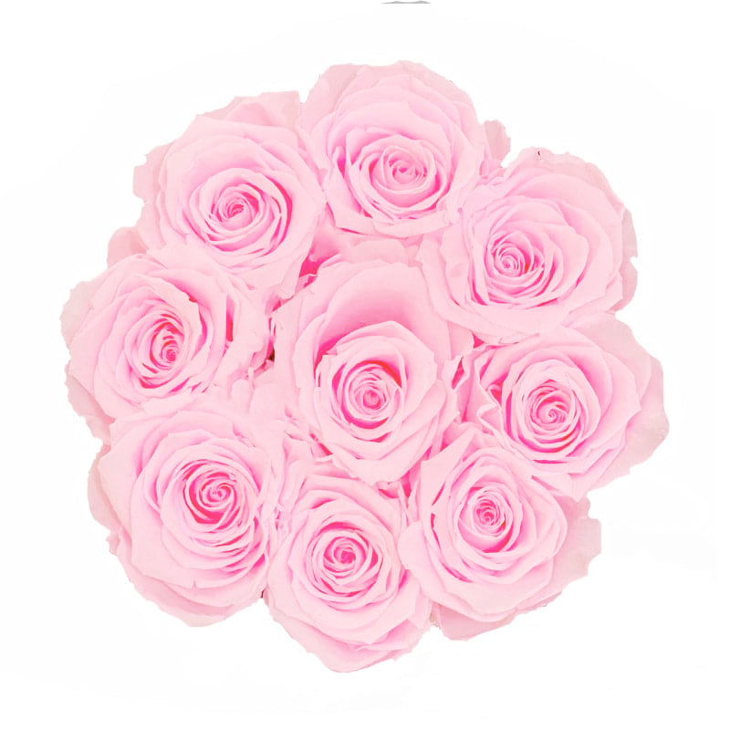 Pink Blush Roses Box