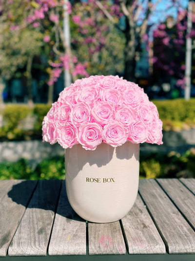 Ceramic Premium Half Ball with Light Pink Roses