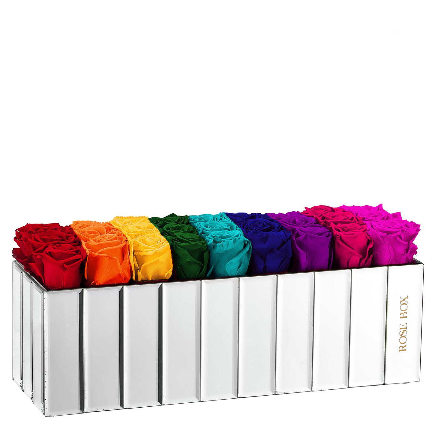 Limited Edition Rainbow Large Modern Centerpiece