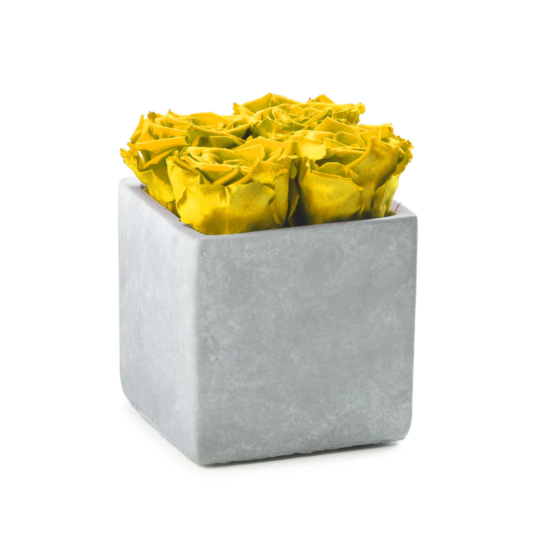 Mini Gray Slate with Bright Yellow Roses