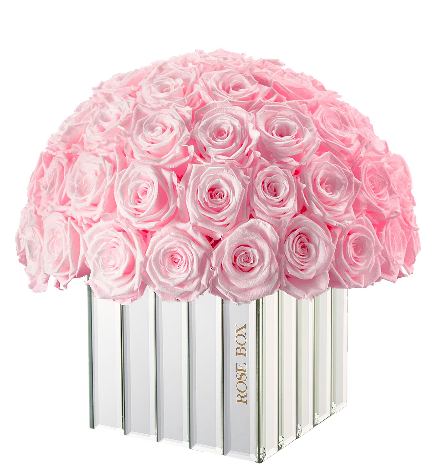 Modern Premium Half Ball with Light Pink Roses