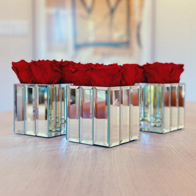 Trio Mini Modern Mirror Bundle with Red Flame Roses