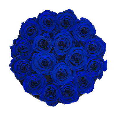 Medium Gold Box with Night Blue Roses