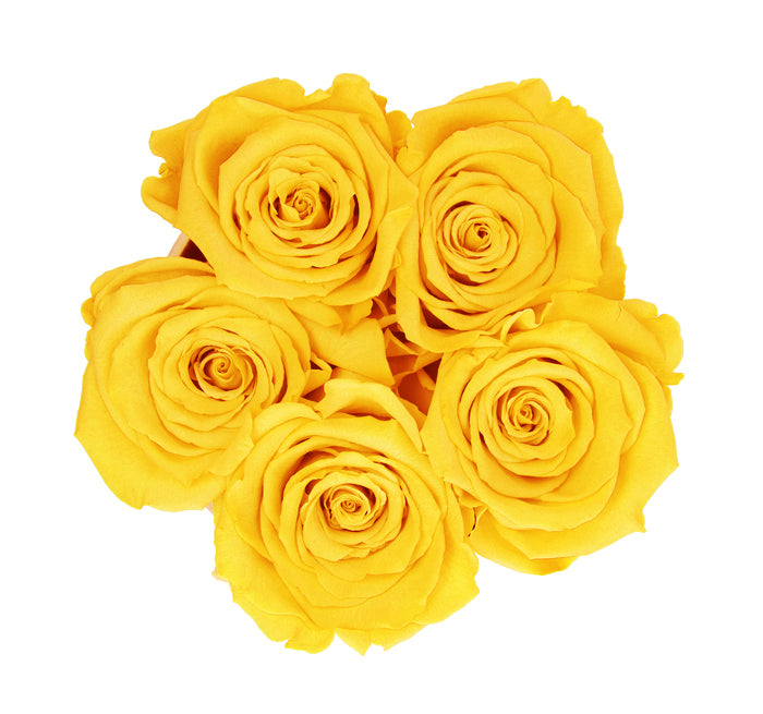 Mini White Box with Bright Yellow Roses