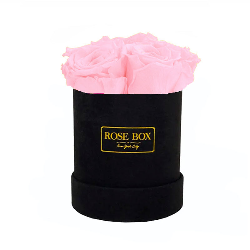 Mini Black Box with Pink Blush Roses
