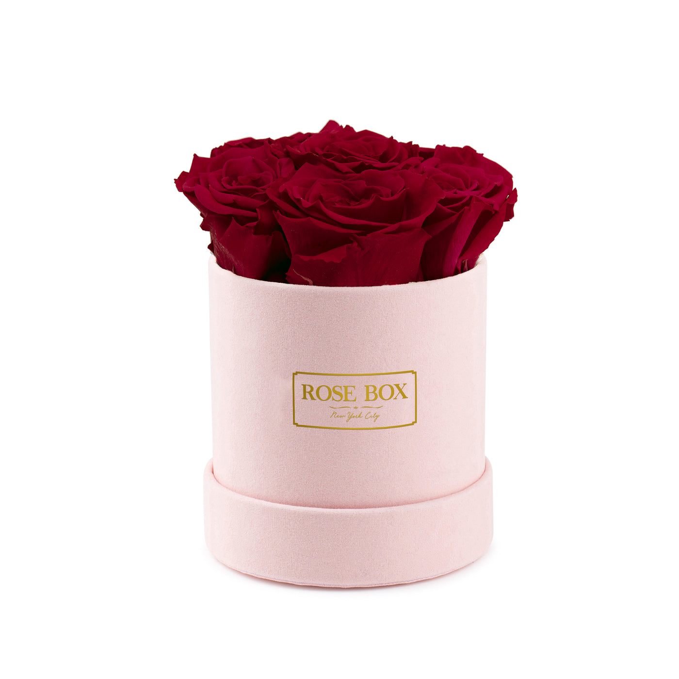 Mini Pink Box with Red Wine Roses