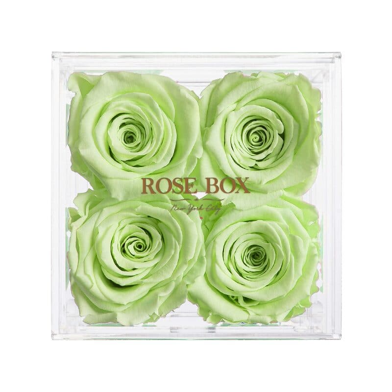 4 Light Green Roses Jewelry Box