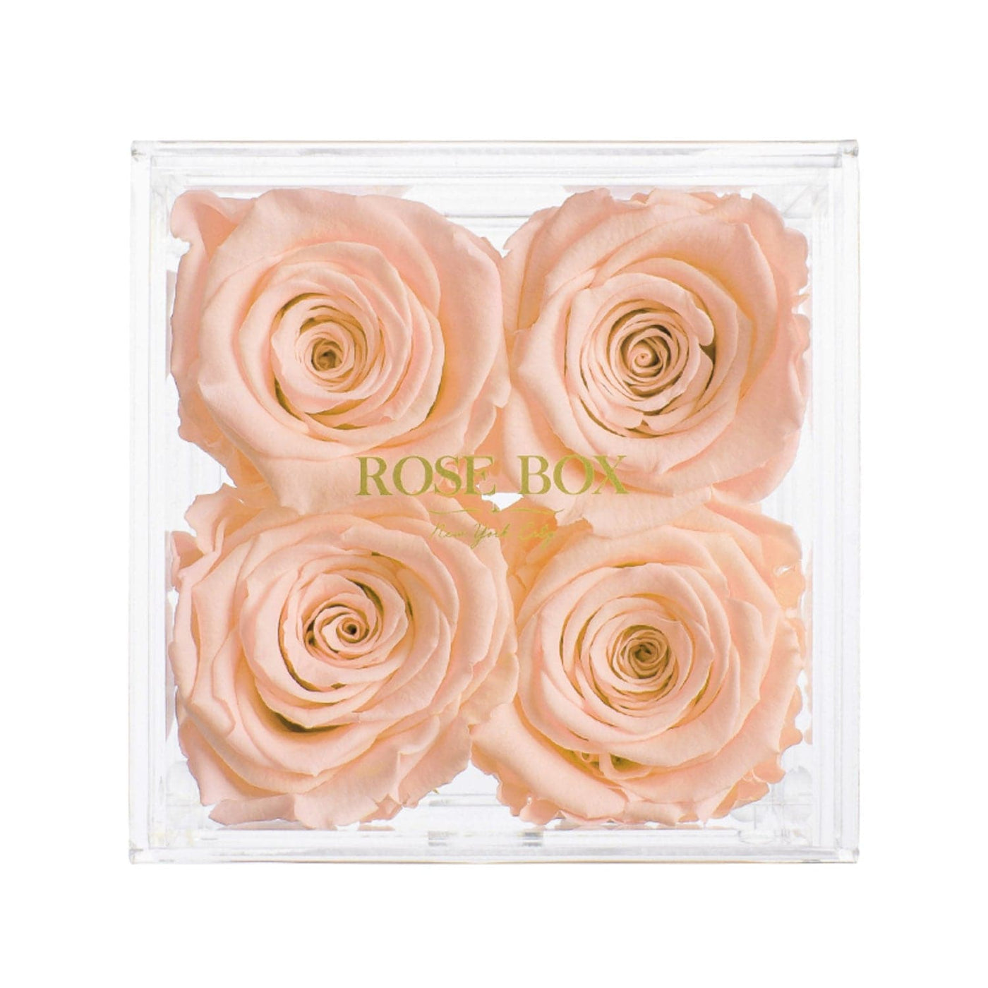 4 Sorbet Peach Roses Jewelry Box