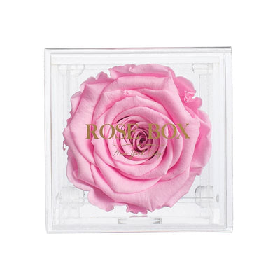 Single Pink Blush Rose Jewelry Box