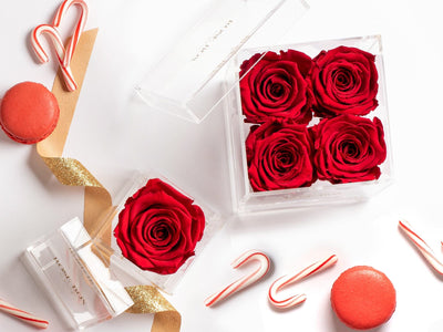 Jewelry Rose Boxes Bundle