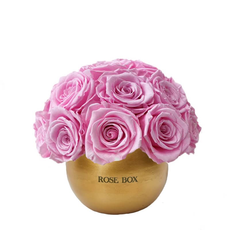 Golden Mini Half Ball with Pink Blush Roses