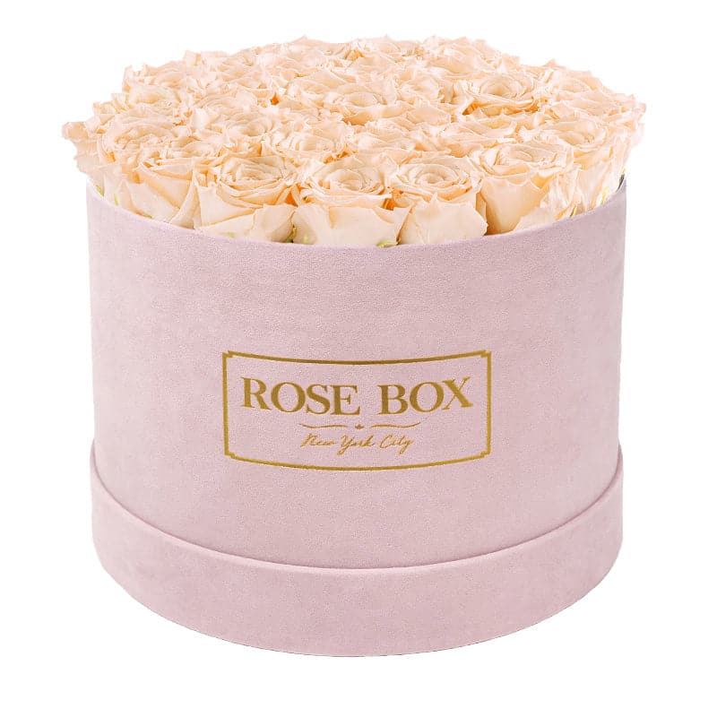 Large Round Pink Box with Sorbet Peach Roses