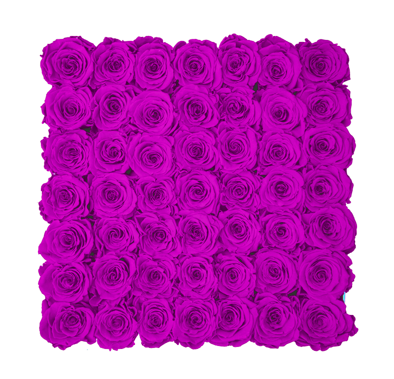Large Pink Square Box with Royal Purple Roses