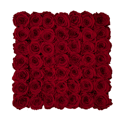 Large White Square Box with Red Wine Roses