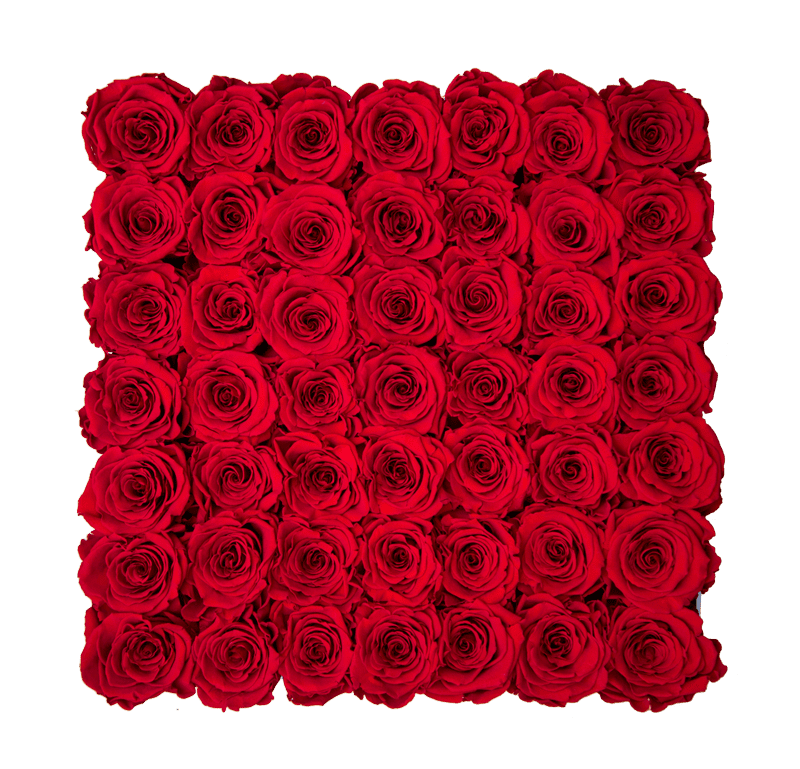 Large Pink Square Box with Red Flame Roses