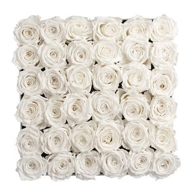 Large Black Square Box with Pure White Roses