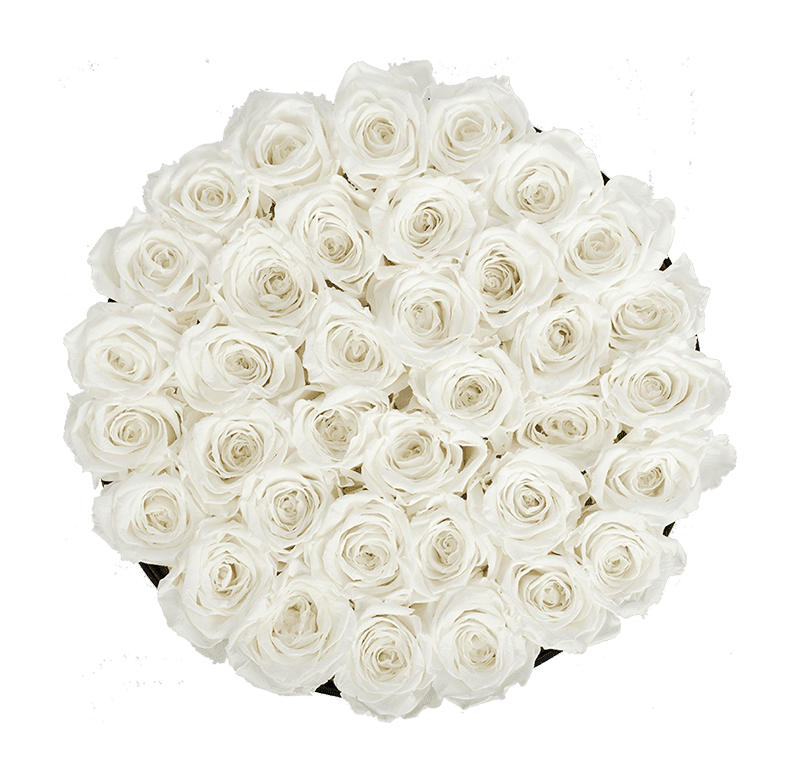 Large Round White Box with Pure White Roses