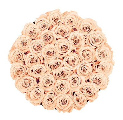 Large Round White Box with Sorbet Peach Roses