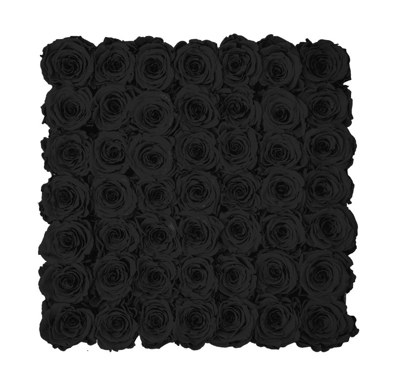 Large White Square Box with Velvet Black Roses
