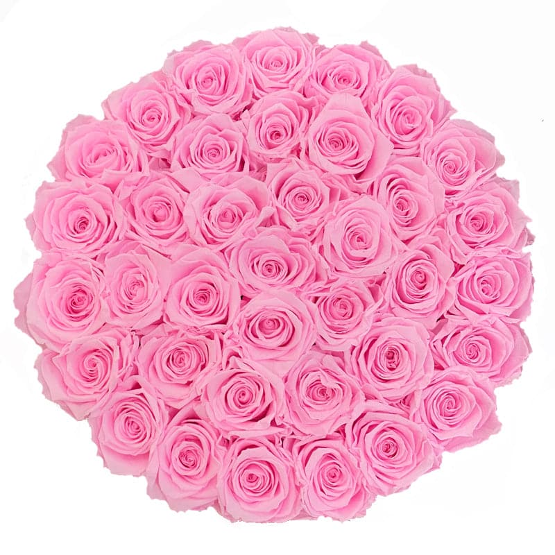 Large Round Black Box with Pink Blush Roses