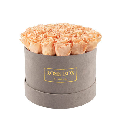 Medium Gray Box with Sorbet Peach Roses