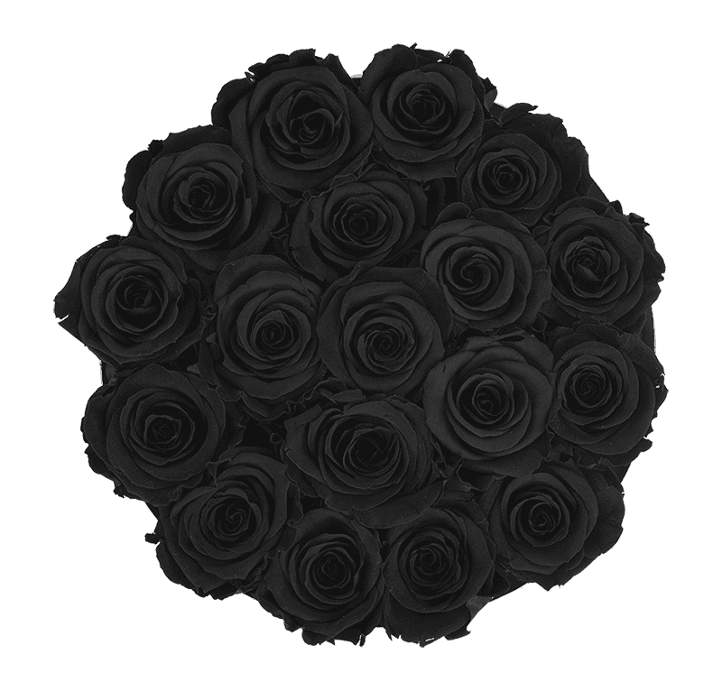 Medium White Box with Velvet Black Roses