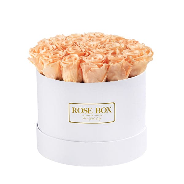 Medium White Box with Sorbet Peach Roses