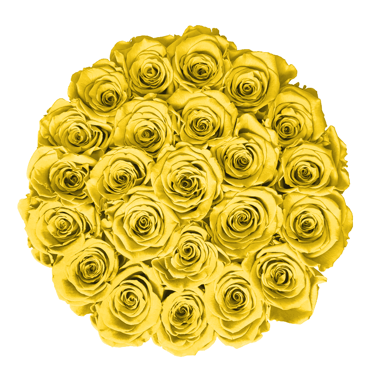 Medium White Box with Bright Yellow Roses (Voucher Special)