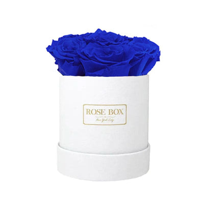 Mini White Box with Night Blue Roses