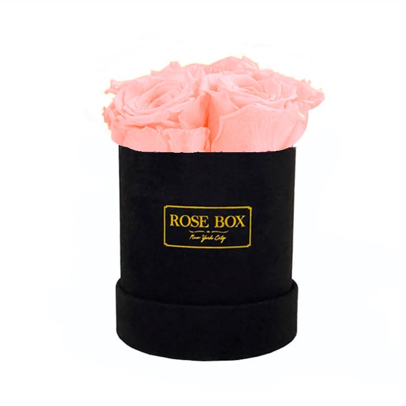 Mini Black Box with Sorbet Peach Roses
