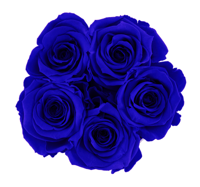 Mini White Box with Night Blue Roses