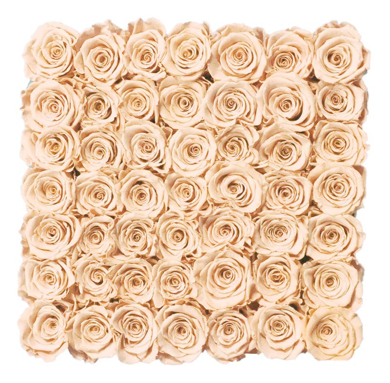 Large White Square Box with Sorbet Peach Roses