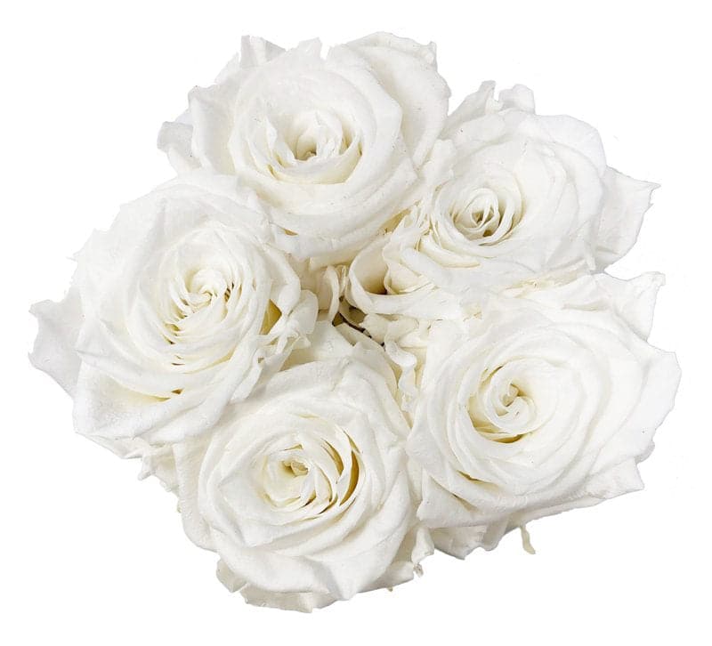 Mini White Box with Pure White Roses