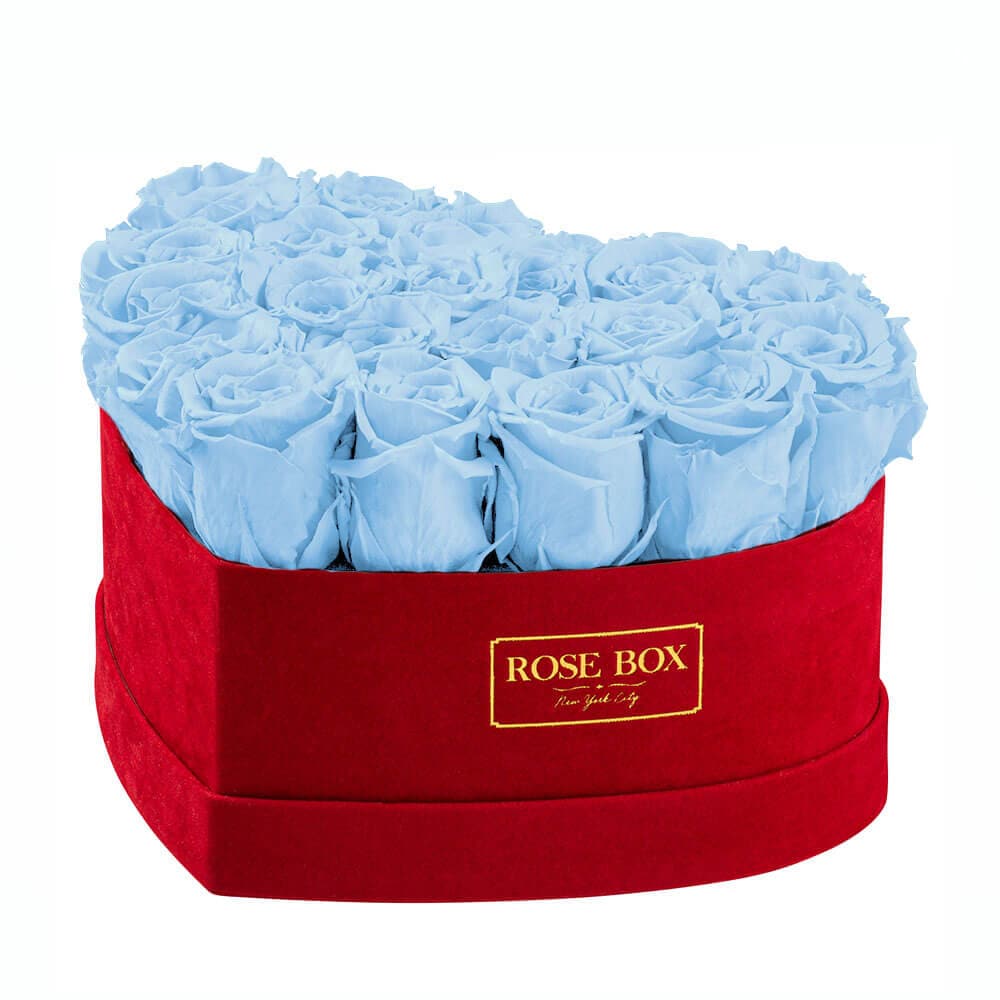 Medium Red Heart Box with Light Blue Roses