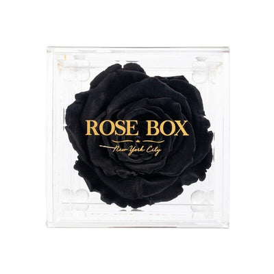 Single Velvet Black Rose Jewelry Box