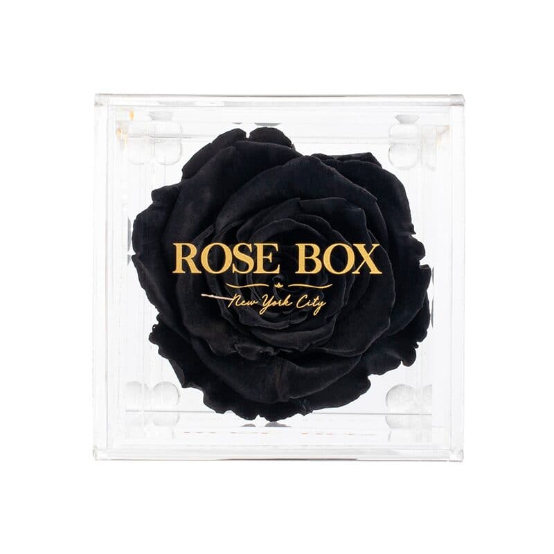 Single Velvet Black Rose Jewelry Box (Voucher Special)