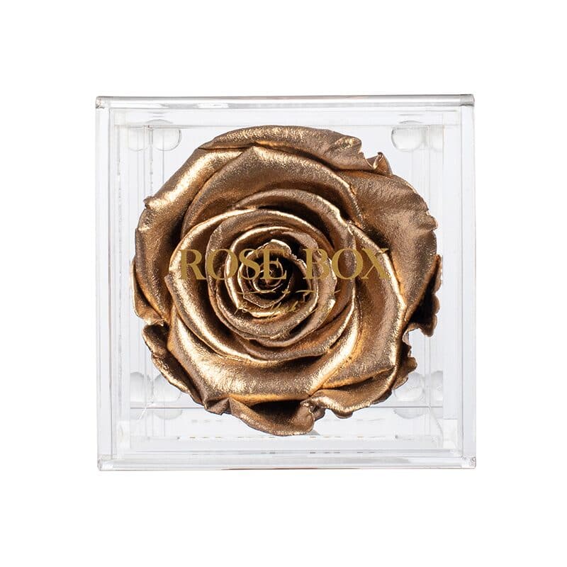 Single Gold Rose Jewelry Box (Voucher Special)