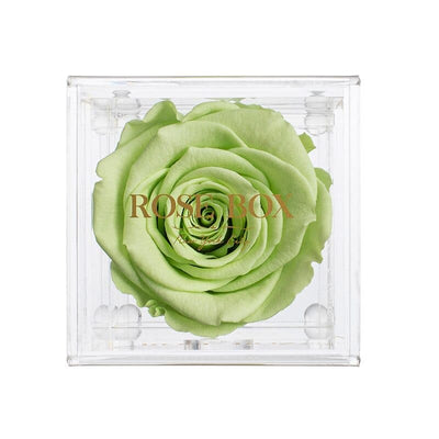 Single Light Green Rose Jewelry Box (Voucher Special)