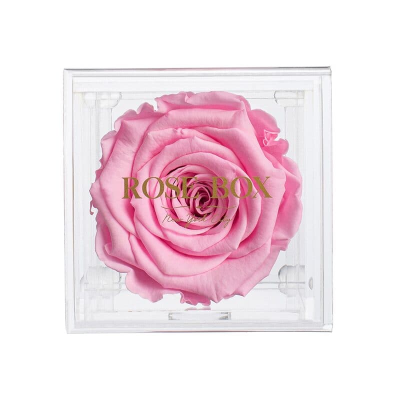 Single Pink Blush Rose Jewelry Box (Voucher Special)