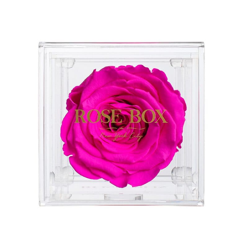 Single Neon Pink Rose Jewelry Box